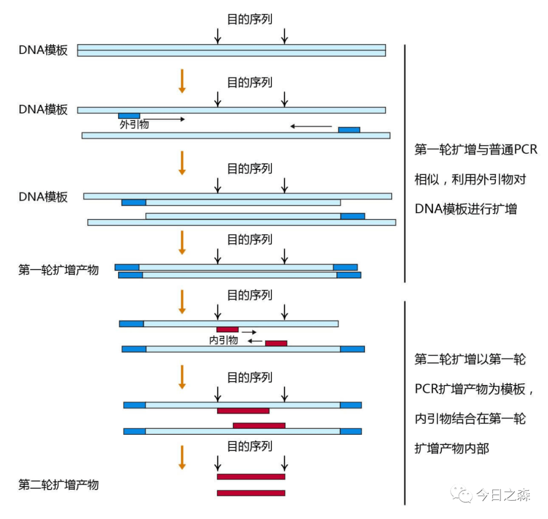 新澳资料免费大全,稳定性设计解析_Mixed50.362