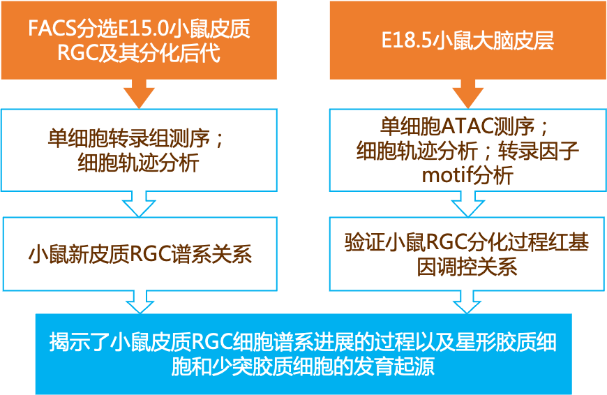 等优质 第19页