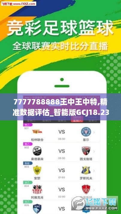 7777788888王中王中特,精细定义探讨_pack29.209