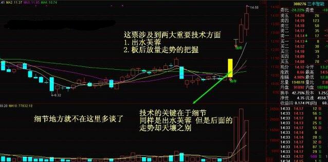 管家婆精准资料大全免费4295,高效策略设计_LT31.342