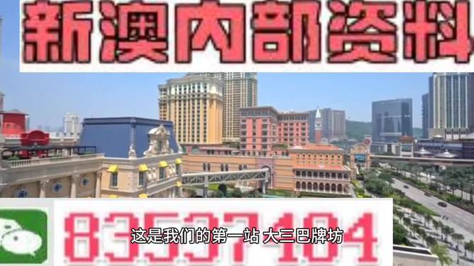 2024新澳门正版精准免费大全,深入数据应用计划_领航款69.563