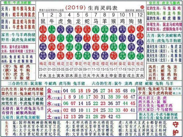 2024新澳门正版免费资料生肖卡,绝对经典解释落实_高级款36.238