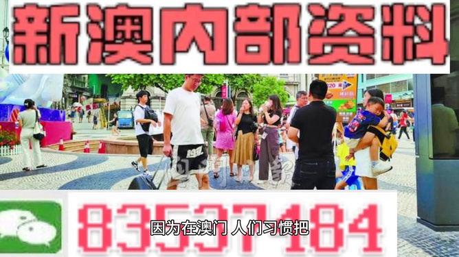 2024新澳精准资料免费提供,澳门内部,专业解答执行_XR57.70