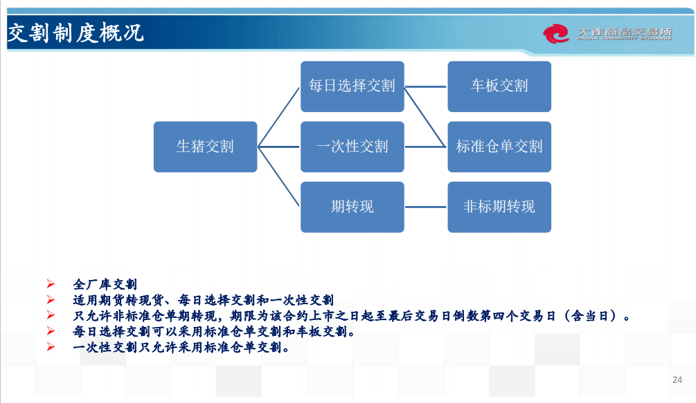 2024年12月 第28页