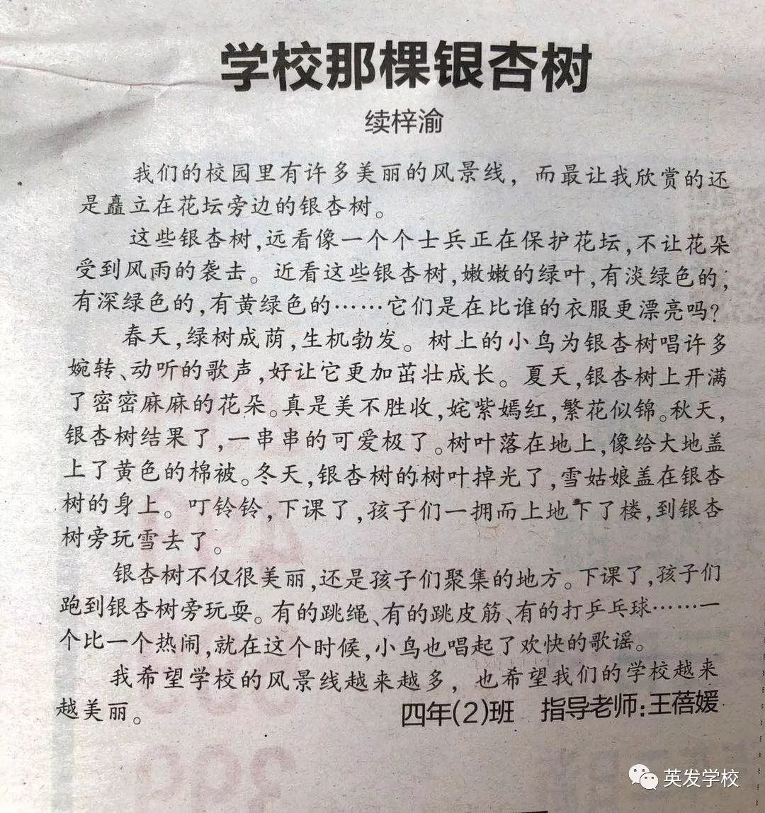 丰富多彩的校园生活之学校活动纪实