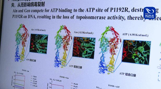 非洲流感最新动态，全面解析及应对策略