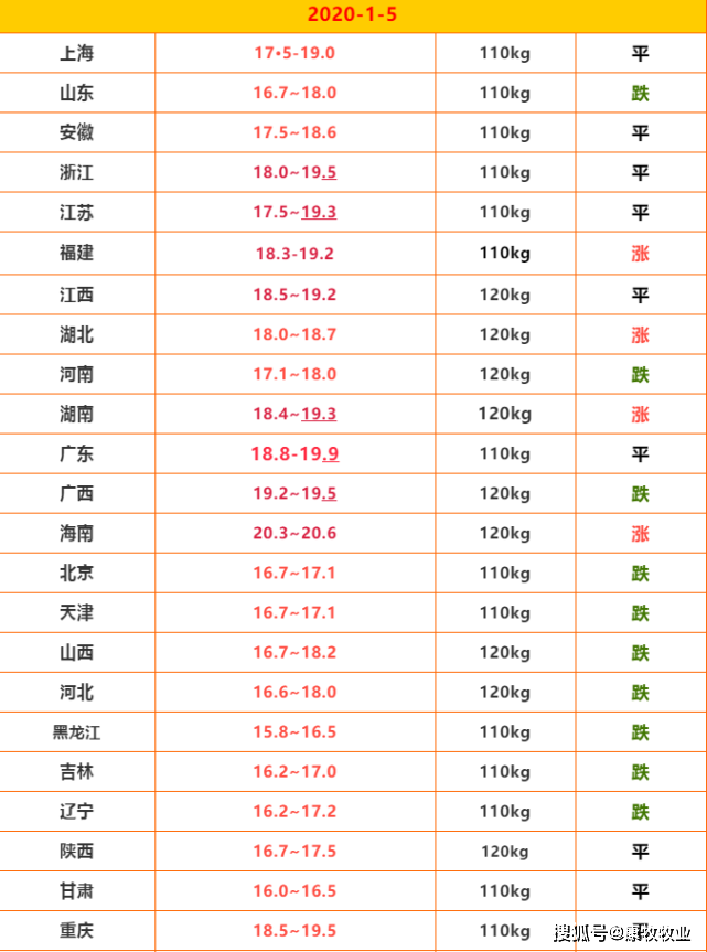 明日猪价行情解析，最新动态与市场趋势分析