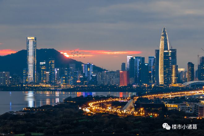 深圳湾市场繁荣下的新篇章，最新成交动态揭秘