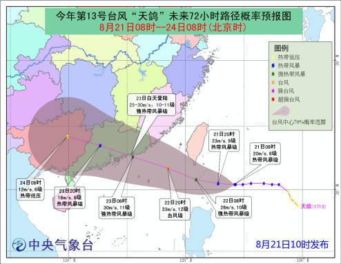 天鸽台风最新动态，实时视频更新与深度解析