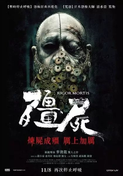 香港僵尸片电影，传统与创新融合的魅力之作