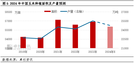 最新玉米产量分析与影响因素探讨