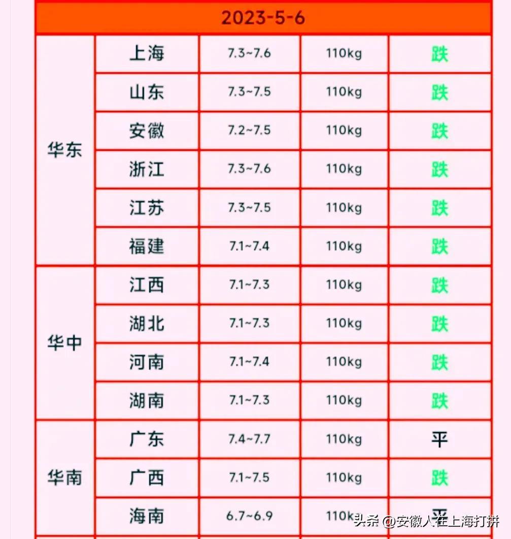 明日猪价格行情分析，最新动态与趋势预测