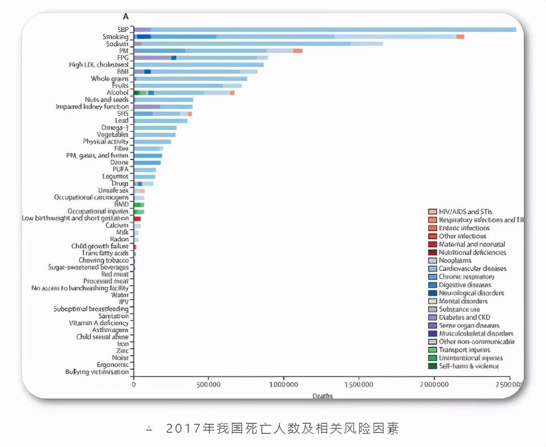 心肌干细胞重塑心脏健康的新希望研究揭秘最新进展