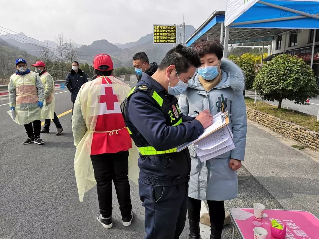 双浦地区最新疫情动态报告，最新分析与观察