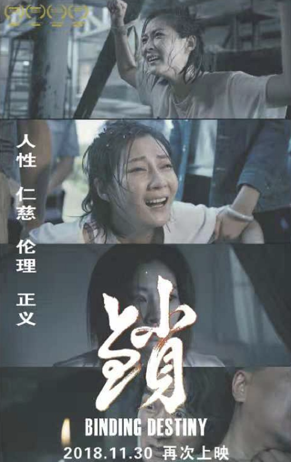 最新电影11月上映，期待与惊喜交织