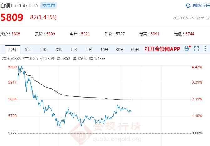 白银TD最新动态，市场波动及未来展望