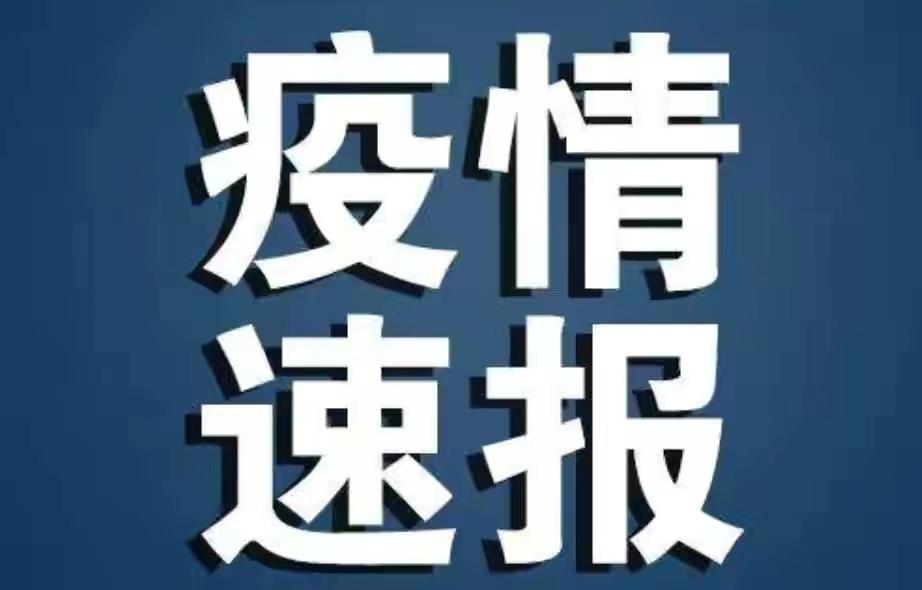 山西疫情最新情况报告，最新数据与动态分析