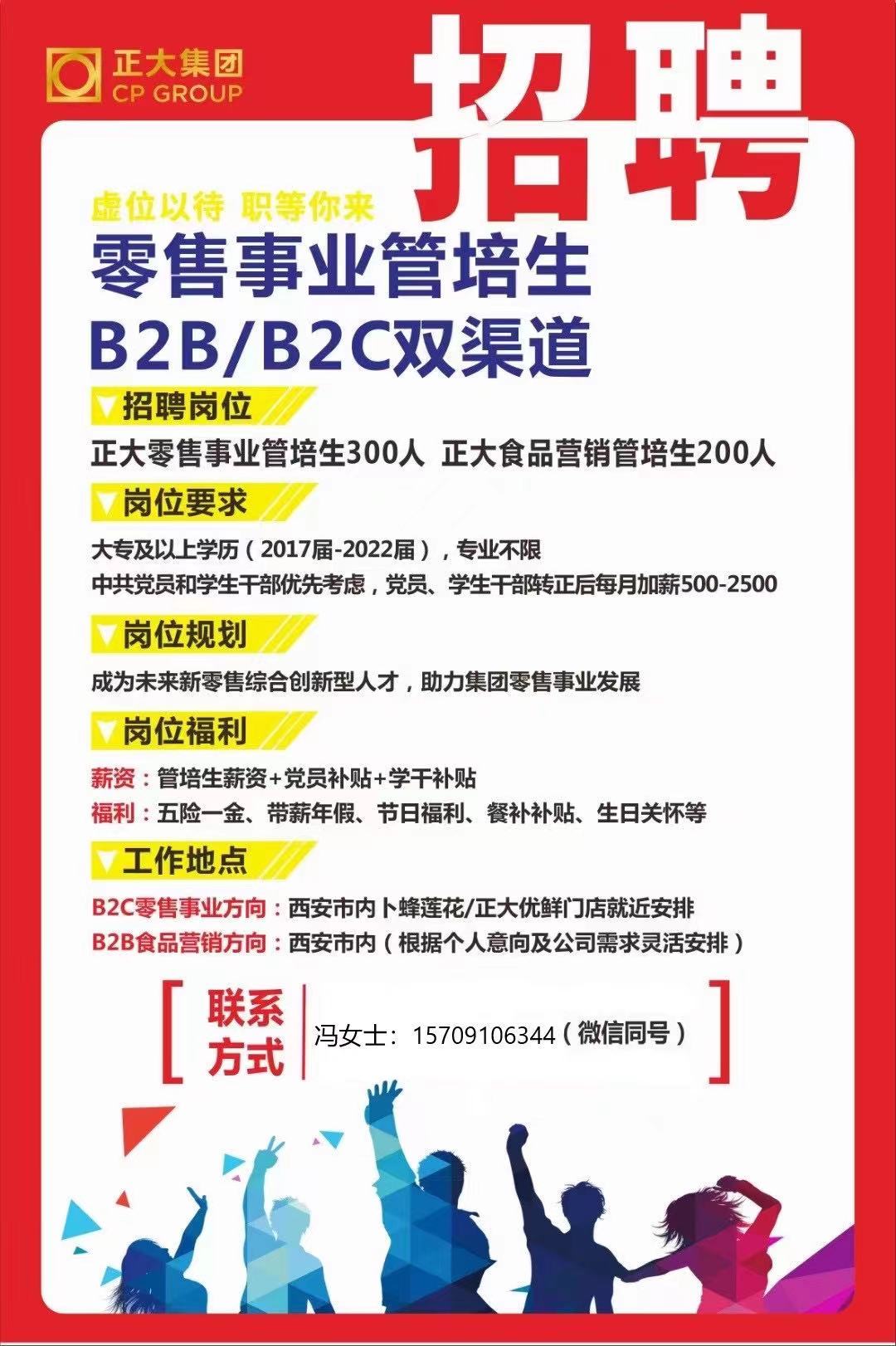 公司最新招聘信息发布，职业发展的黄金机遇等你来探索