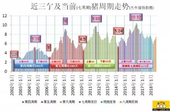 最新羊周期市场趋势及未来发展解析