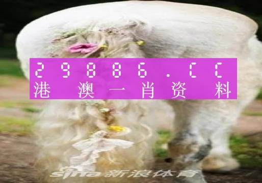 开始以 第28页