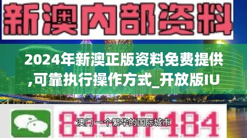 2024新澳正版免费资料的特点,数据解析支持方案_W79.432