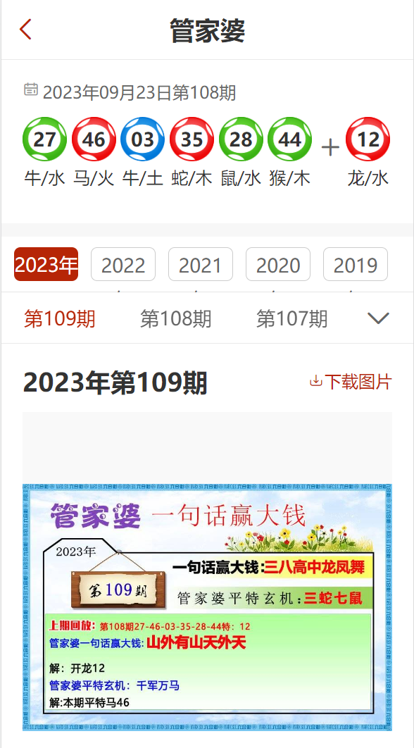 管家婆2024资料精准大全,深入分析定义策略_特别款91.222