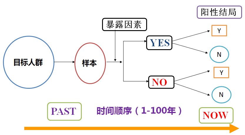 2024年三期内必开一期,数据资料解释定义_ChromeOS65.128