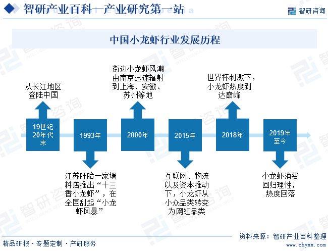 2024正版资料免费提拱,实地分析数据方案_WP版82.28