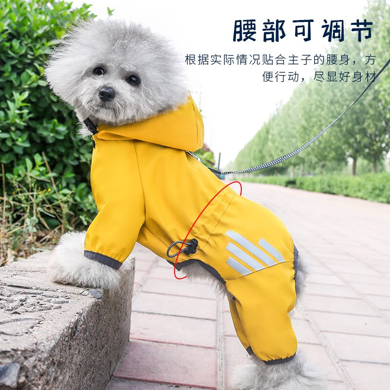 狗狗四脚衣服的奇妙探险